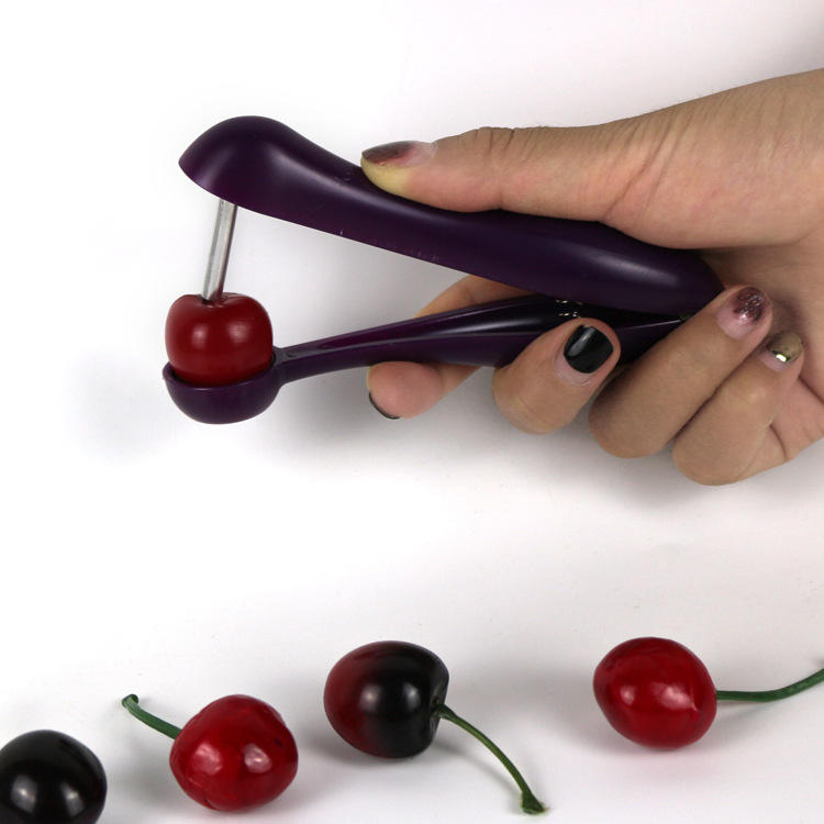 KINGWISE Promotional Gifts Cheap Kitchen Gadgets Fruits Core Seed Remover Plastic Manual Dishwasher Safe Handheld Olive Cherry