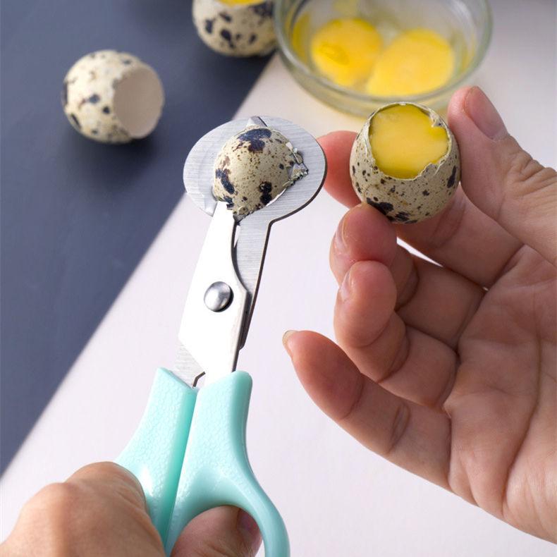 KINGWISE Hot Sale Kitchen Accessories 5 Inch Small Size Kitchen Scissors Cutting Quail Egg Scissors for the Kitchen